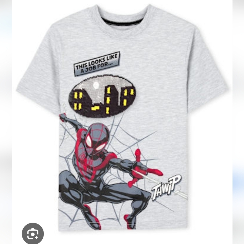 Boys Spider Man Graphic Tee - gray